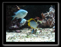 IMG_3408_1