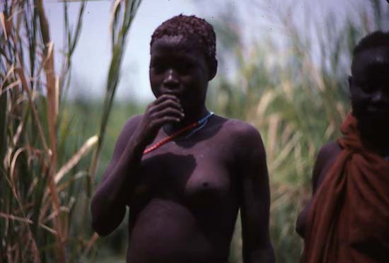 sudanese