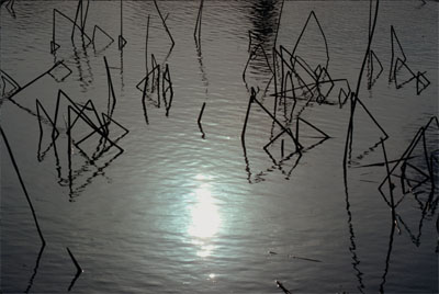 Triangles