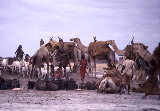 somalia5.jpg