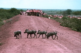 somalia21.jpg