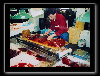 tsukiji17.jpg