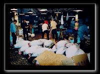 tsukiji09.jpg